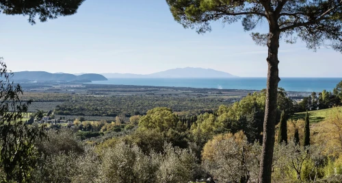 Panorama pomeriggio da San Vincenzo verso la Corsica